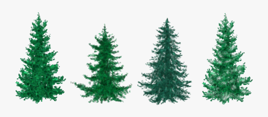 Fir Christmas Tree Clipart, Transparent Clipart