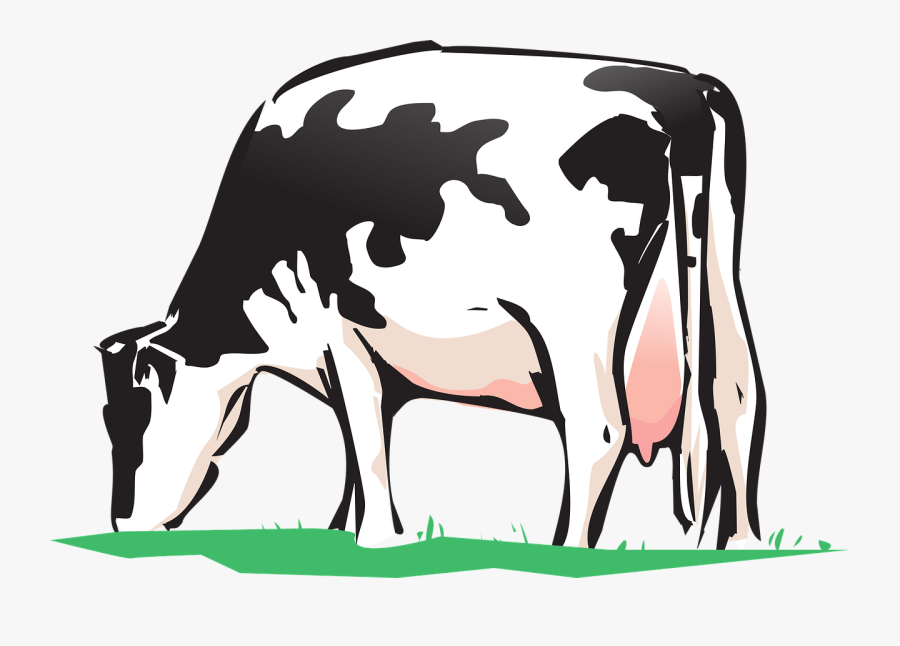 Animated Cows Pictures 25, Buy Clip Art - Veterinary Medicine For Cow, Transparent Clipart