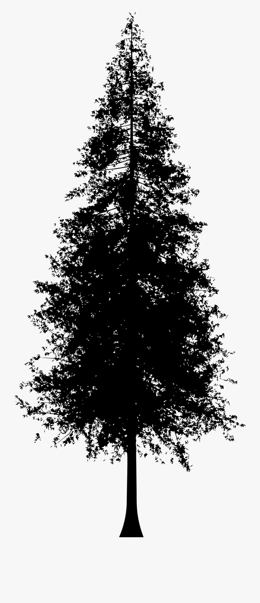 Redwoods Silhouette Coast Redwood Clip Art - Redwood Tree Silhouette Vector, Transparent Clipart