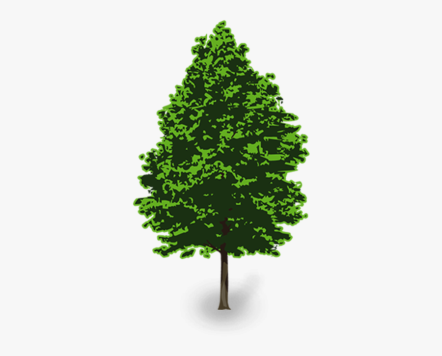 Pine Tree Clipart Line Art - Christmas Tree, Transparent Clipart