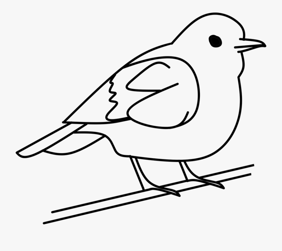 Bird, Tree, Out Line, Clipart, Vector, Sticker, Symbol - Bird Black And White Clip Art, Transparent Clipart