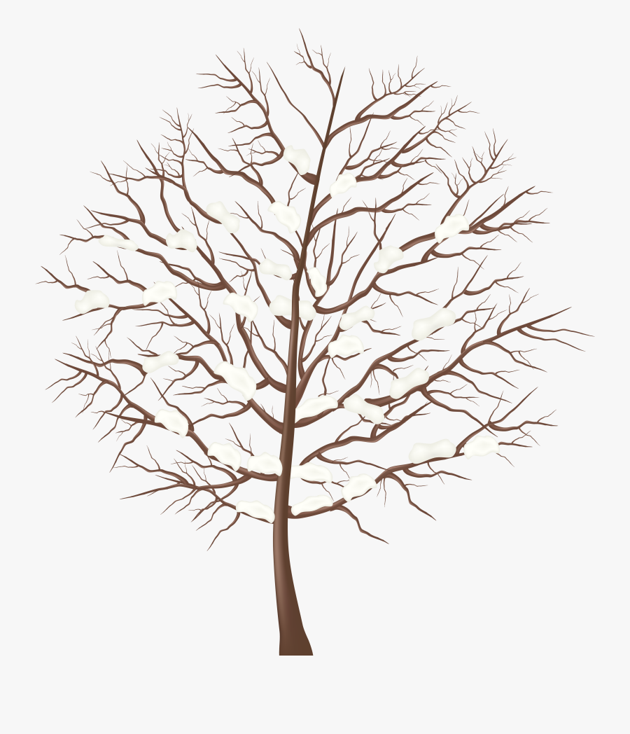 Winter Tree Clipart Png - Winter Tree Clipart Transparent Background, Transparent Clipart