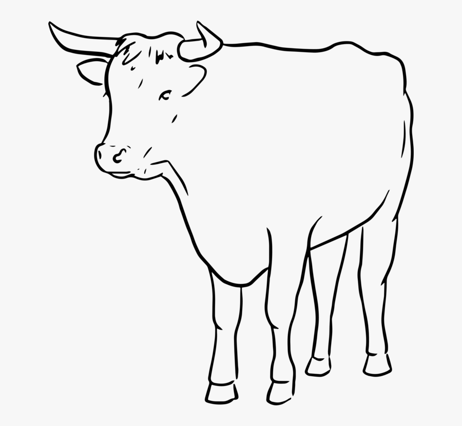 Monochrome - Bull Line Art, Transparent Clipart