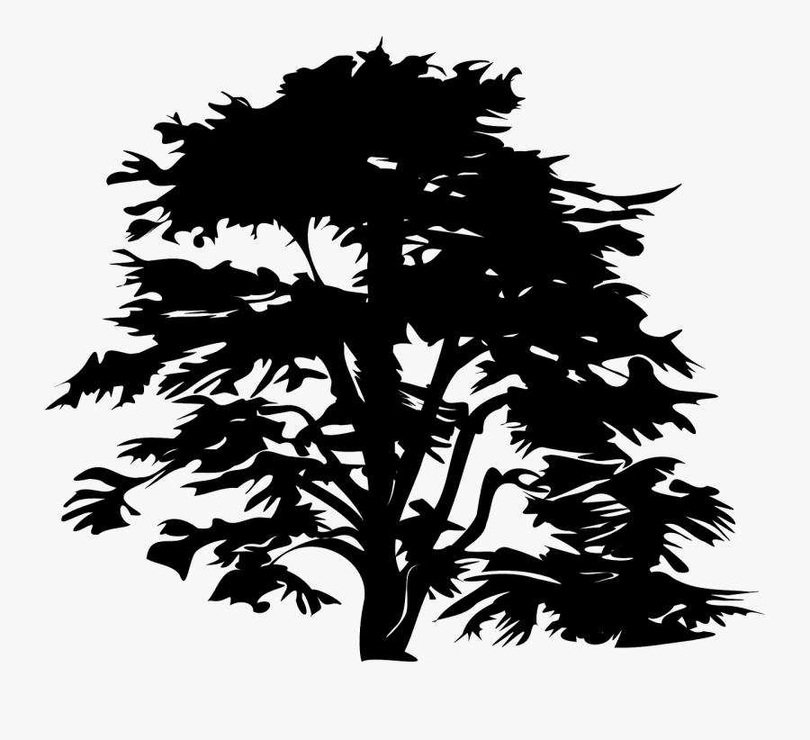 Pine Tree Clipart Dark Tree - Black And White Trees Clipart, Transparent Clipart