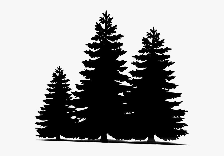 Transparent Pine Trees Clipart Black And White - Pine Tree Svg Free, Transparent Clipart
