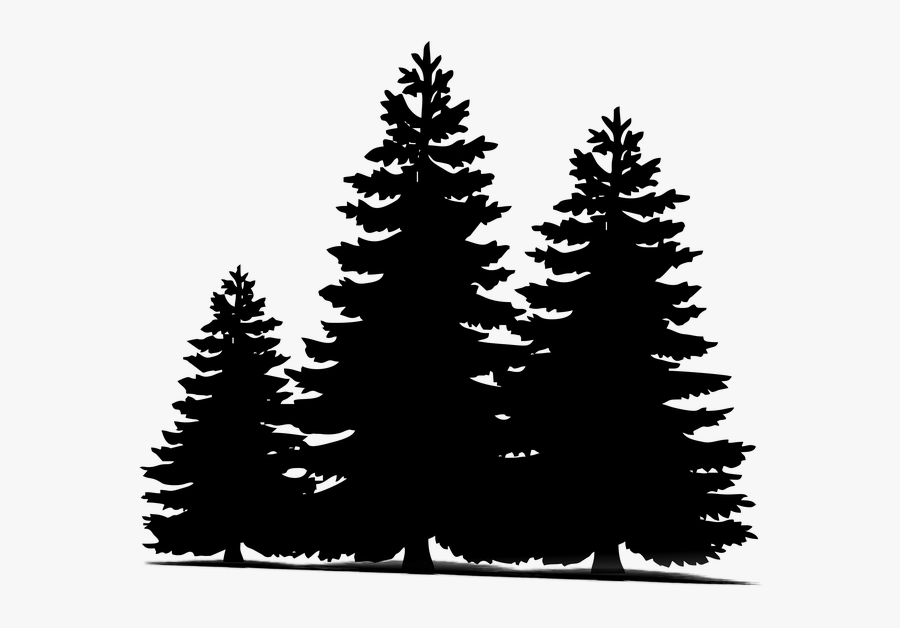 Download Transparent Pine Trees Clipart Black And White - Pine Tree Svg Free , Free Transparent Clipart ...