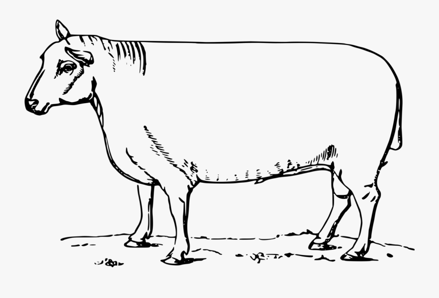 Cow Clipart Sheep - Sheep, Transparent Clipart