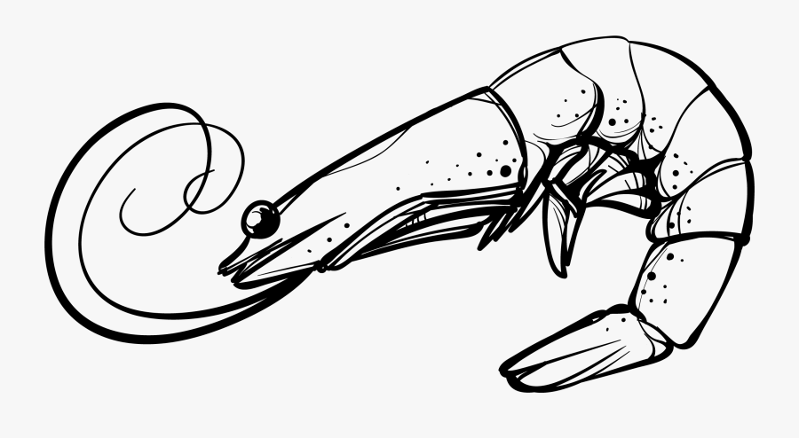 Shrimp Cartoon Clip Art - Shrimp Black And White Clipart, Transparent Clipart