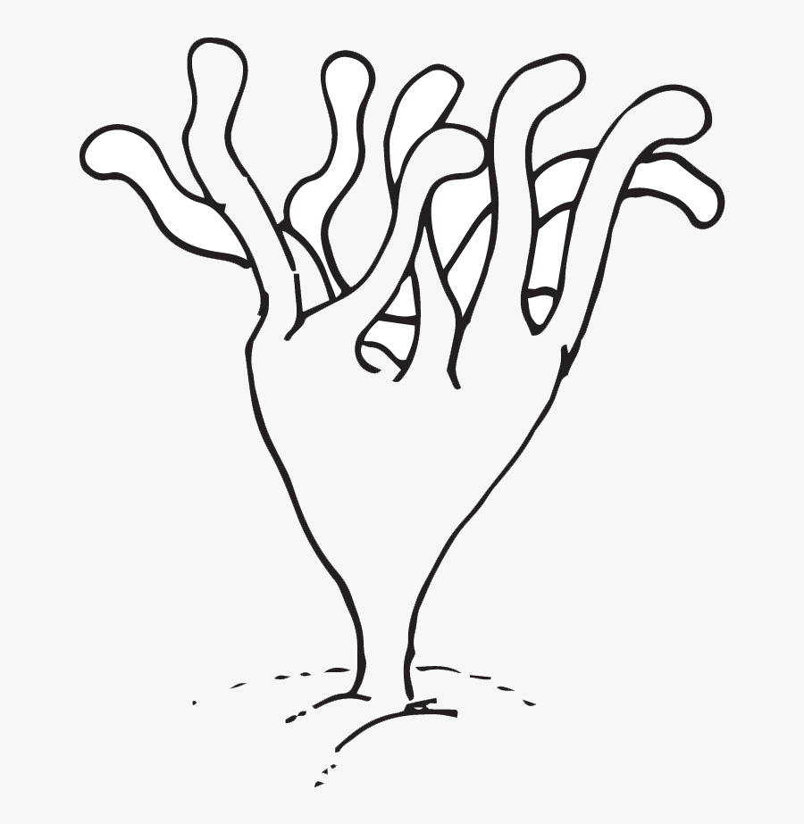 Jellyfish Clipart Brown - Line Art, Transparent Clipart