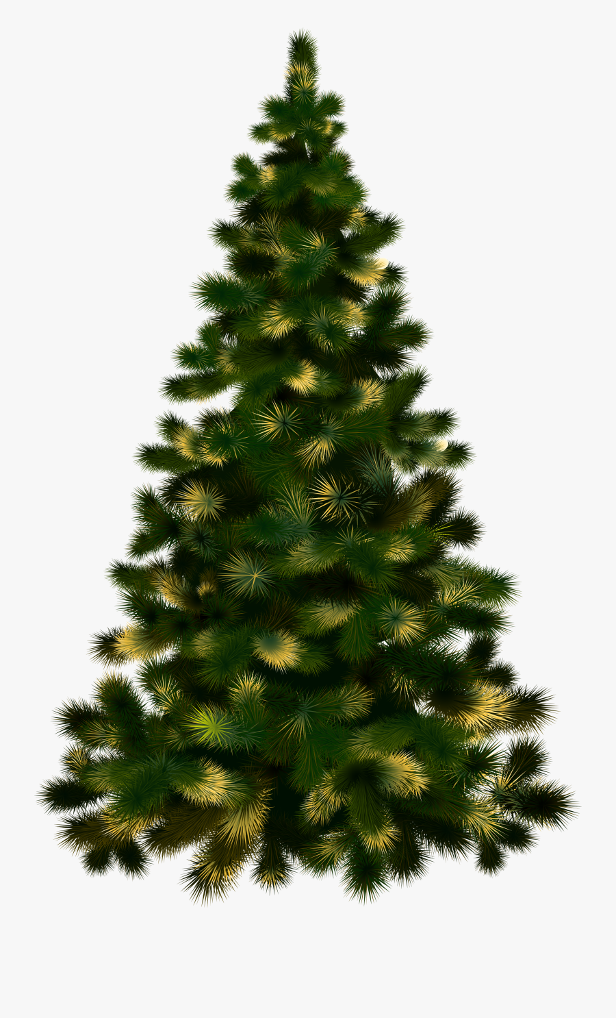 Transparent Christmas Tree With Lights Clipart - Latest Love Songs 2019, Transparent Clipart
