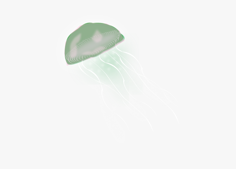 Jellyfish, Transparent Clipart