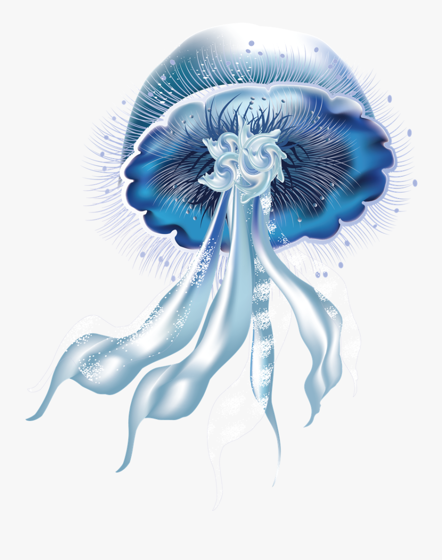 Picture Arts - Transparent Background Jellyfish Png, Transparent Clipart