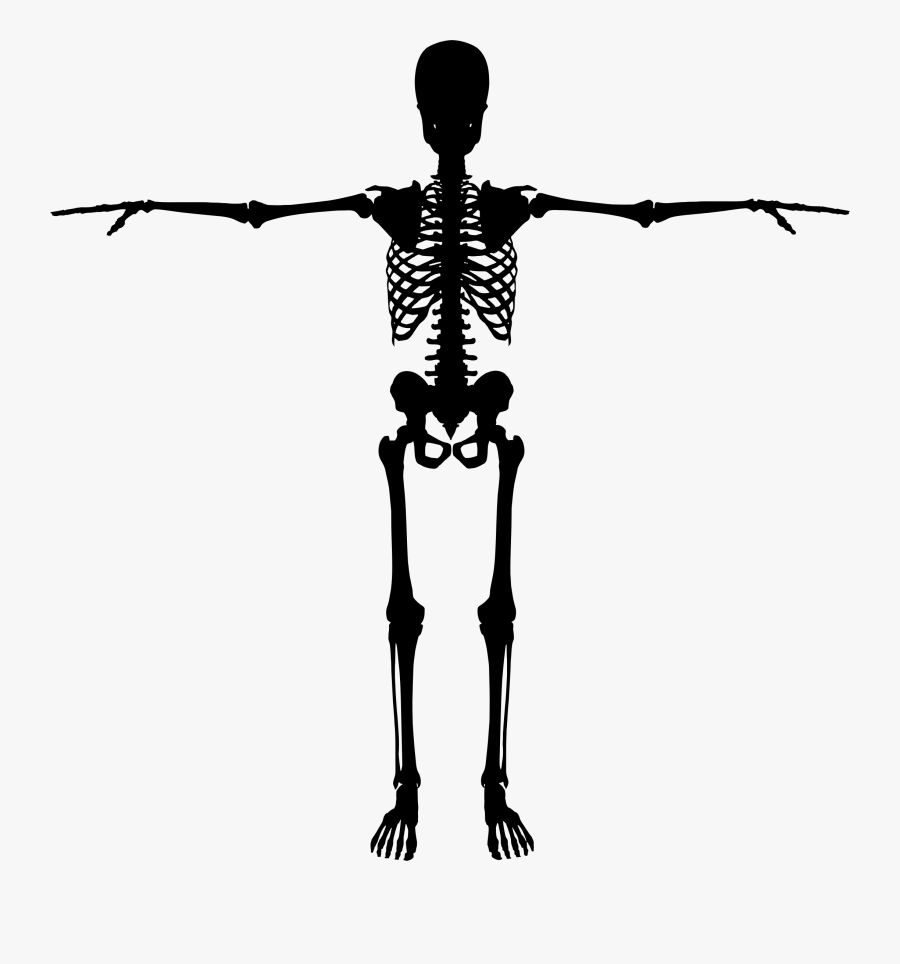 Silhouette Skeleton At Getdrawings - Silhouette Skeleton Png, Transparent Clipart