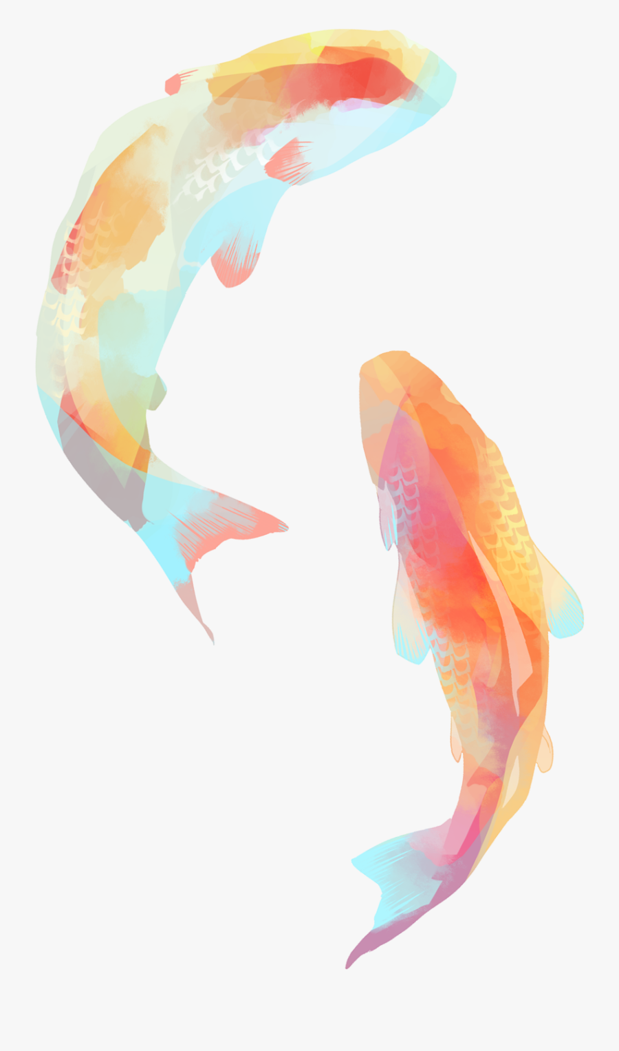 Clipart Free Download Jellyfish Clipart Watercolor - Koi Fish Png, Transparent Clipart