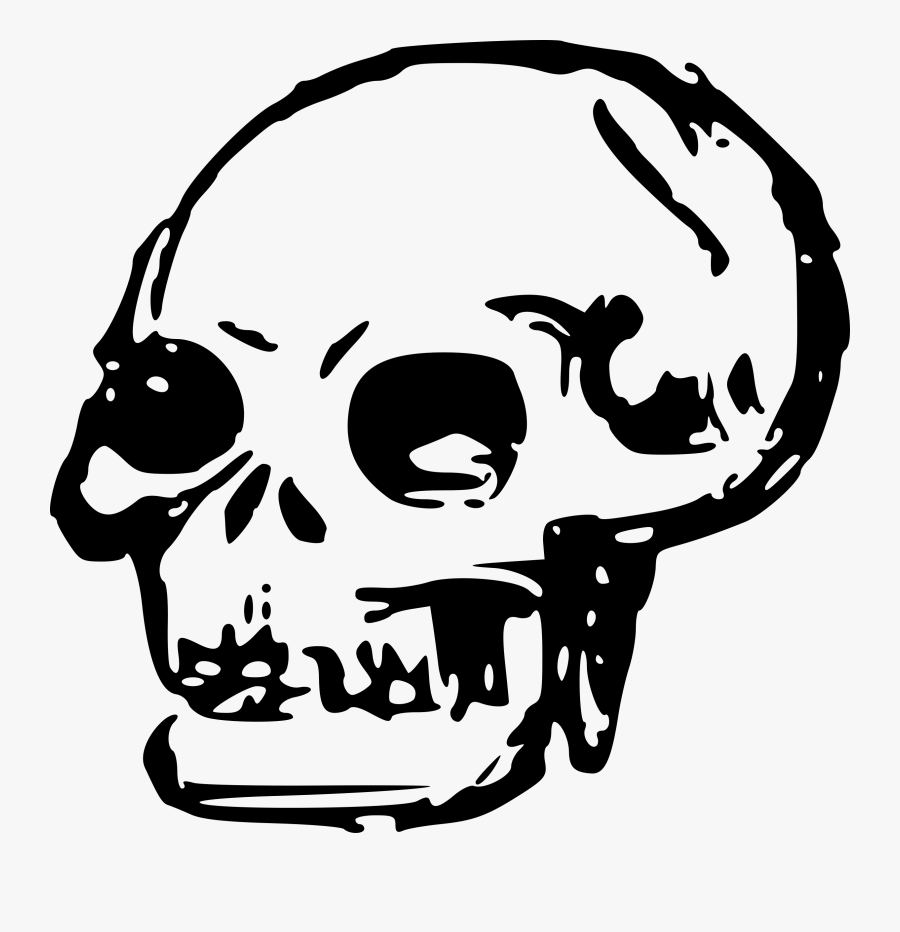 Skeleton Head Clipart Transparent - Skull Transparent Clip Art, Transparent Clipart