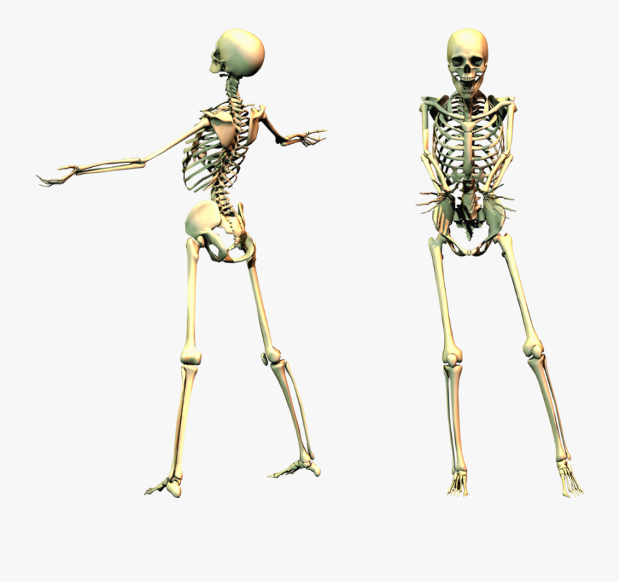 Spooky Png , Png Download - Spooky Skeleton Png, Transparent Clipart