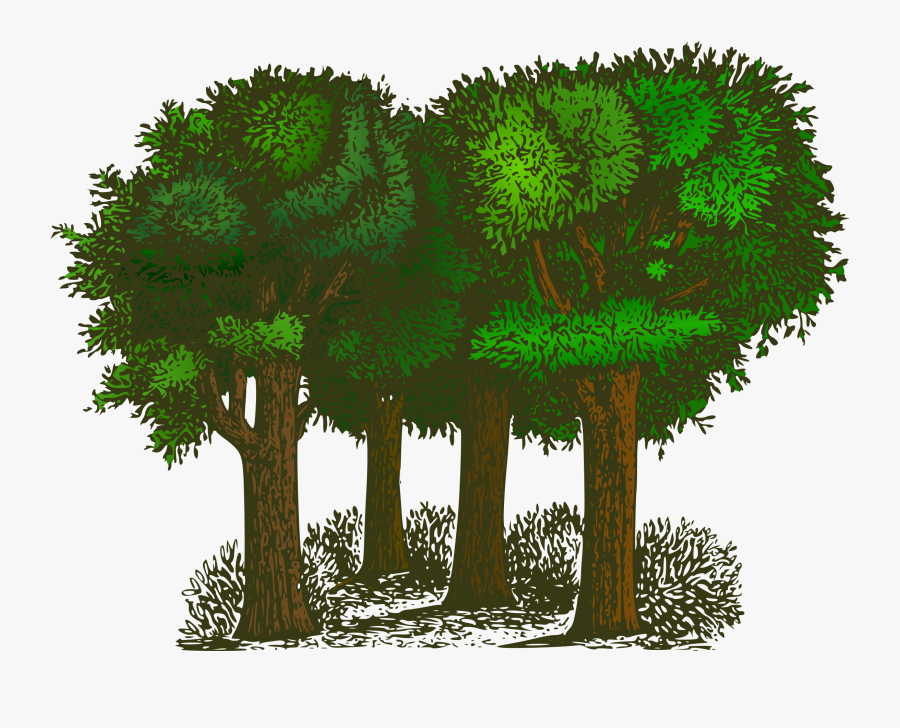 Trees Clipart, Transparent Clipart