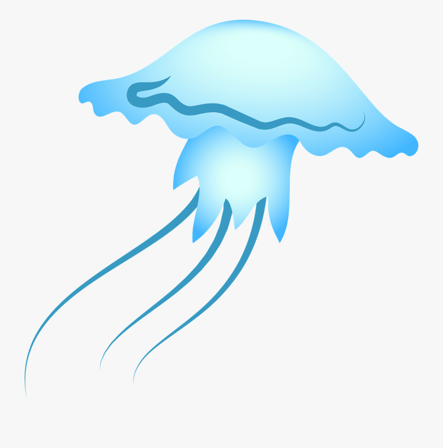Jellyfish Sea Blue Free Picture - Illustration, Transparent Clipart