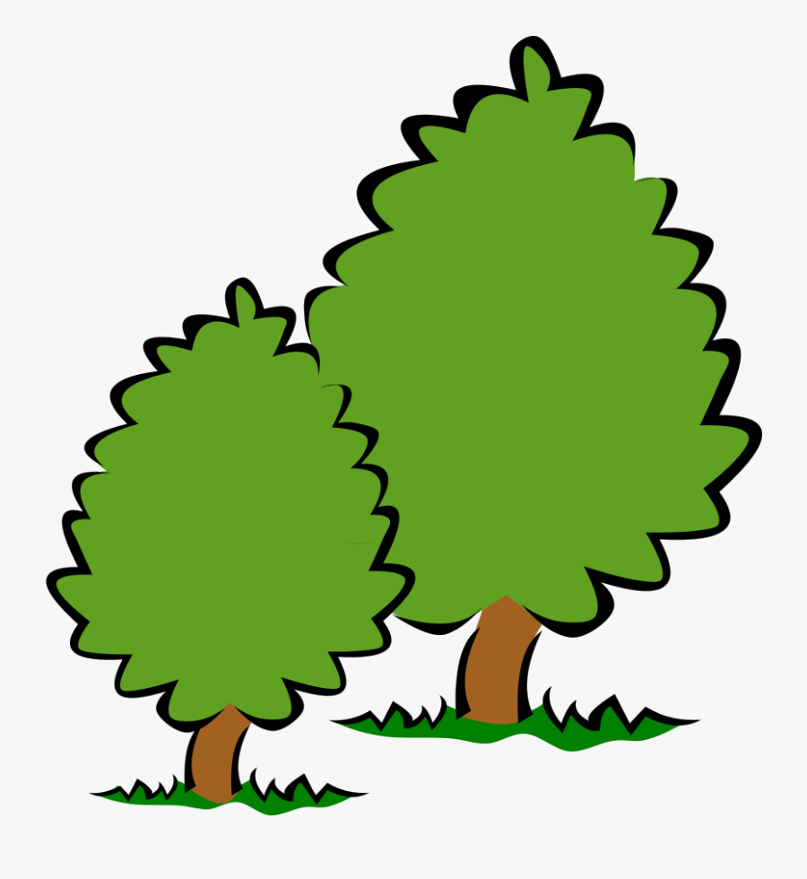 Bush Tree - Project Farm Youtube, Transparent Clipart
