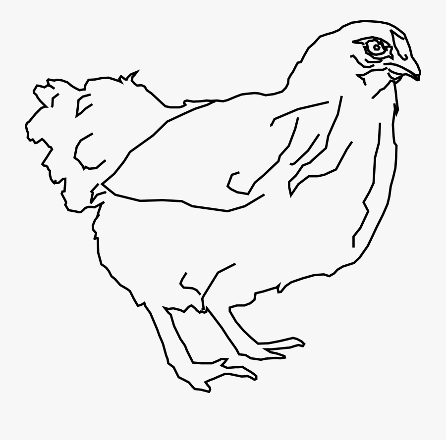 Free Vector Outline Chicken Clip Art - Hen Pic In Clipart Black And White, Transparent Clipart