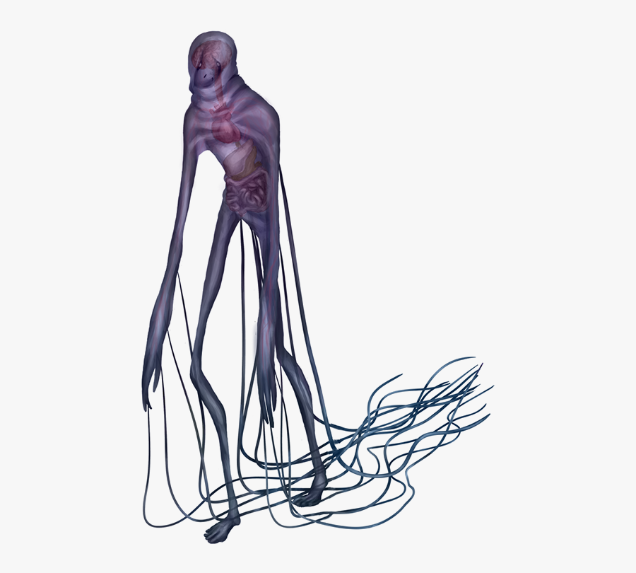 Box Jellyfish Png File - Box Jellyfish Drawing, Transparent Clipart