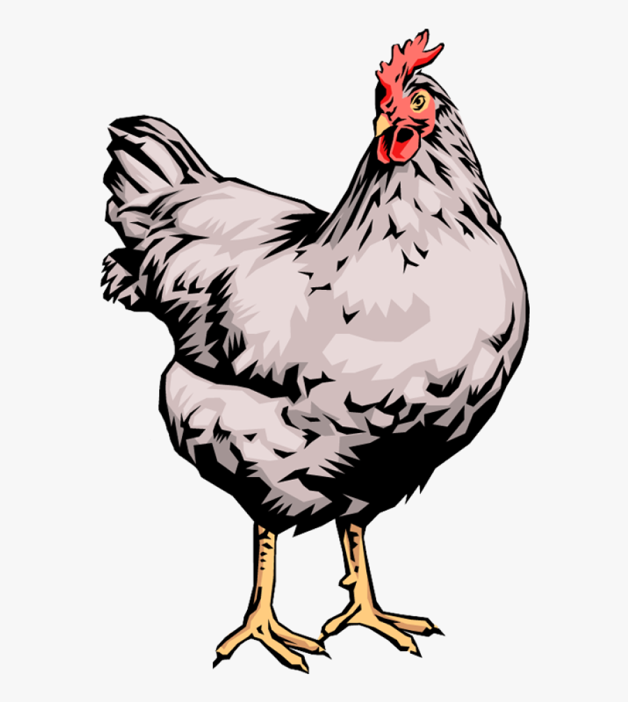 Animals Living In Farm Clipart, Transparent Clipart