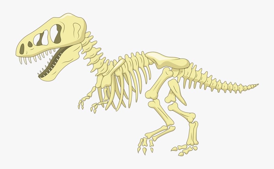 Bone Clip Art Fossil Transprent - Transparent Background Dinosaur Skeleton Clipart, Transparent Clipart