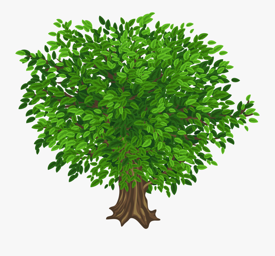 28 Collection Of Trees Clipart Transparent Background - Tree Images Without Background, Transparent Clipart