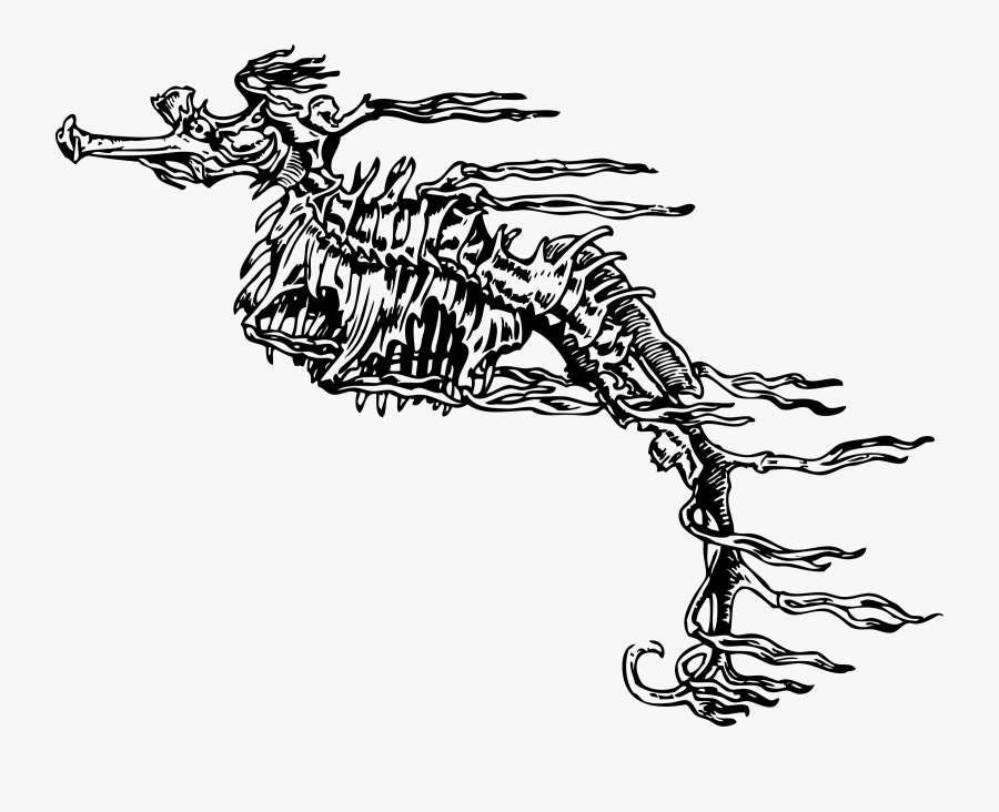 Turkey Bones Clipart - Skeleton Seahorse, Transparent Clipart