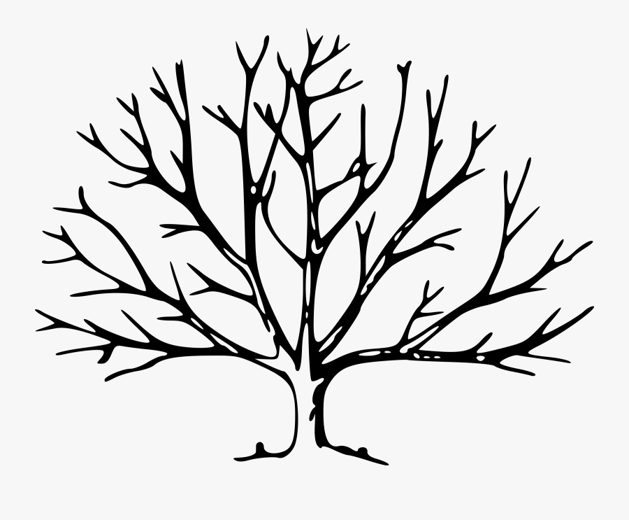 Thumb Image - Tree With No Leaves, Transparent Clipart