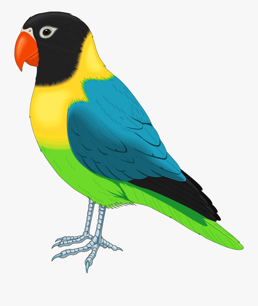 Multicolored Bird Png Clipart - Realistic Bird Clipart, Transparent Clipart