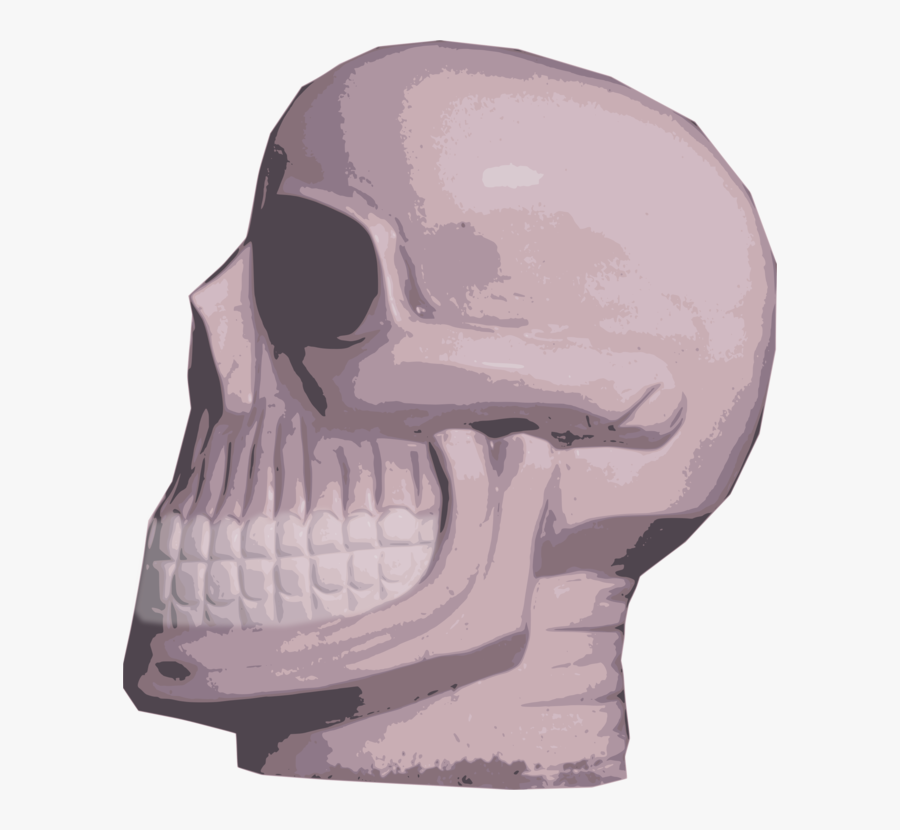 Head,skeleton,skull, Transparent Clipart