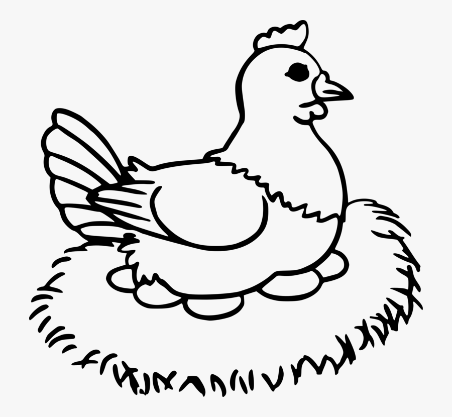 Chicken Coloring Books - Hen With Egg Drawings, Transparent Clipart