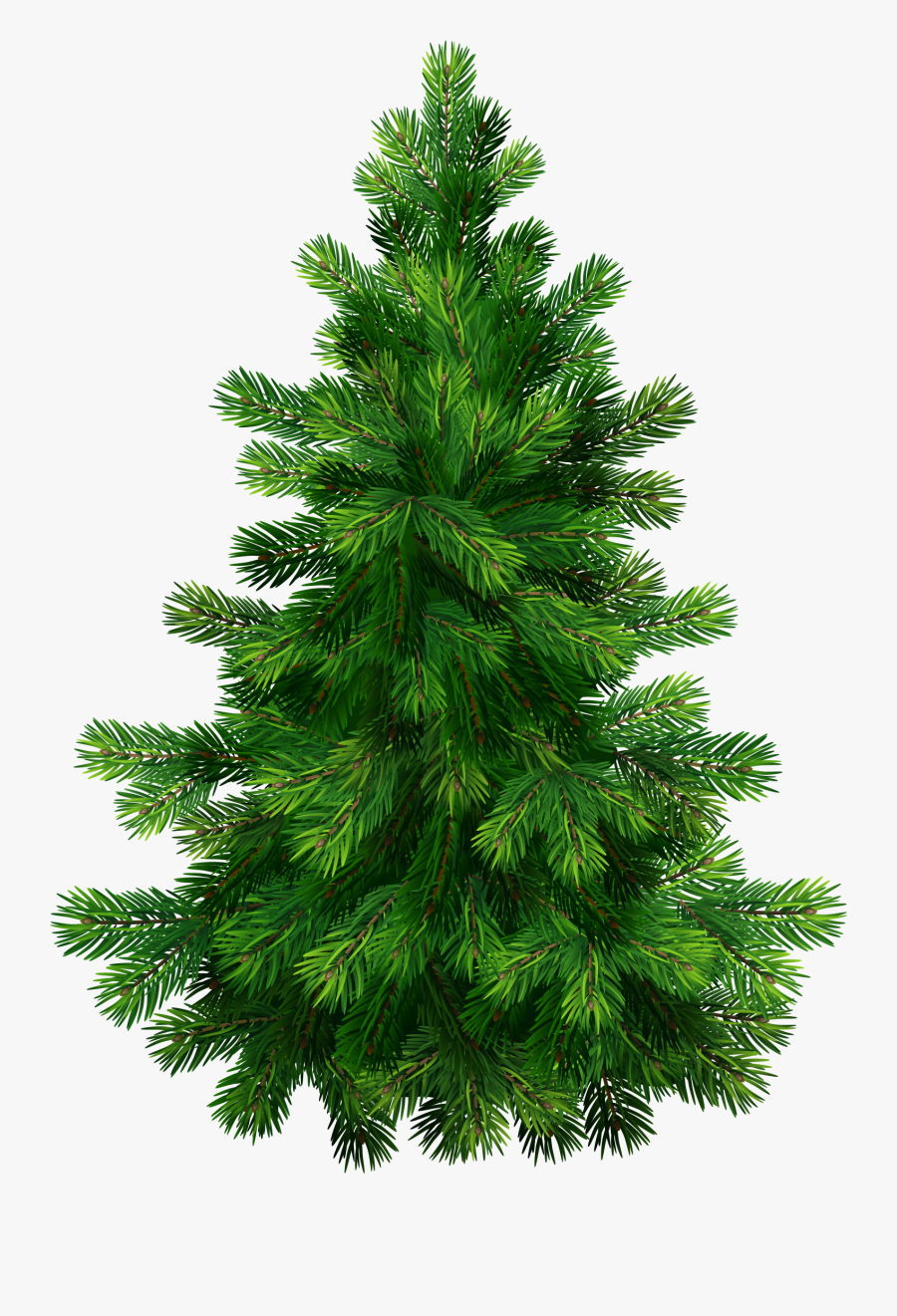 Pine Tree Clipart Png - Pine Tree Transparent Background, Transparent Clipart