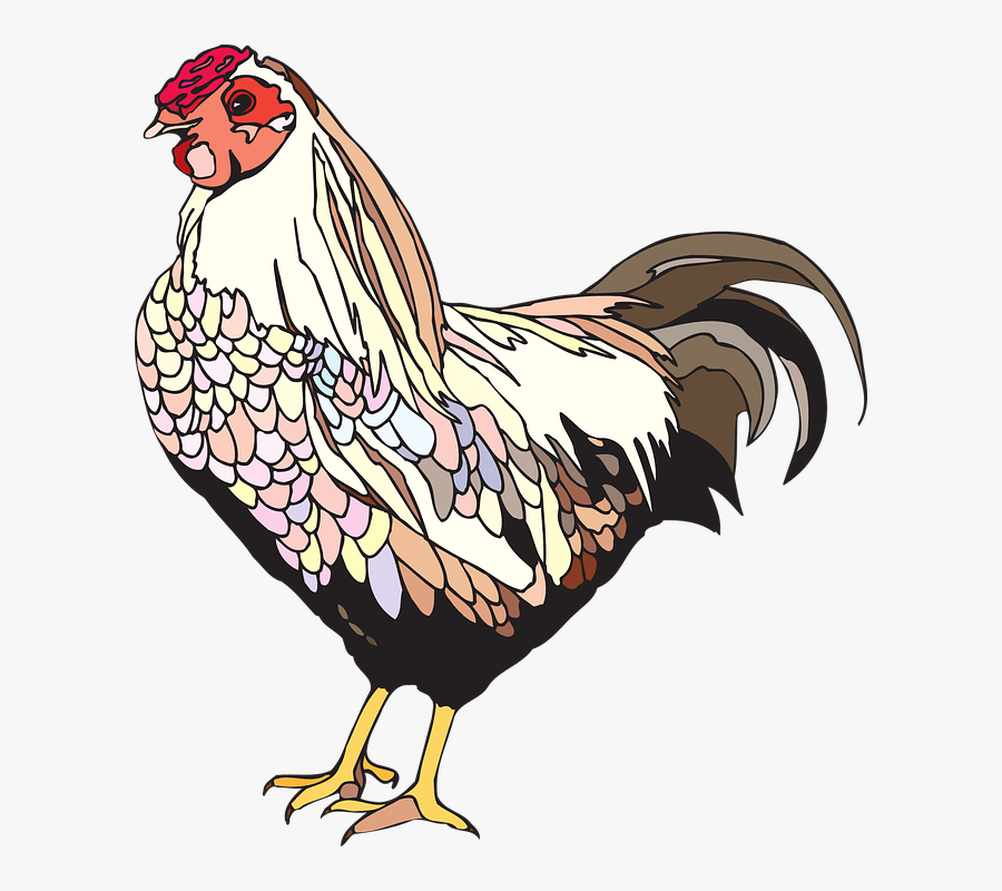Female Chicken Png, Transparent Clipart
