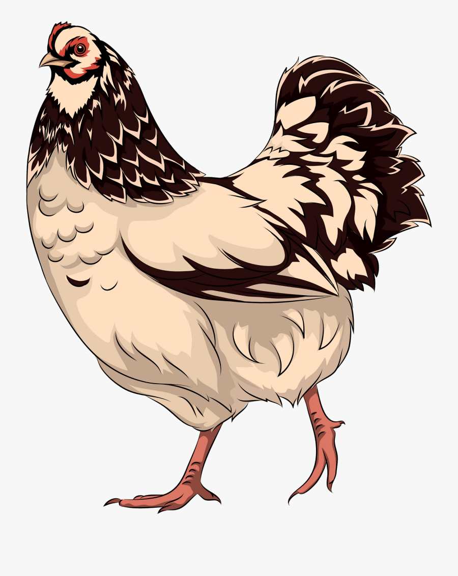 Rooster, Transparent Clipart
