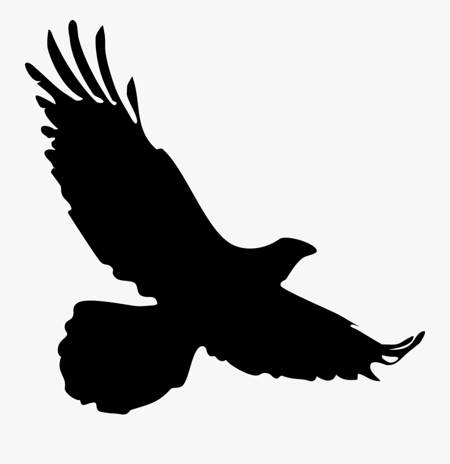 Bird, Wild, Silhouette, Nature, Clip, Art, Clip Art - Silhouette Of A Falcon, Transparent Clipart