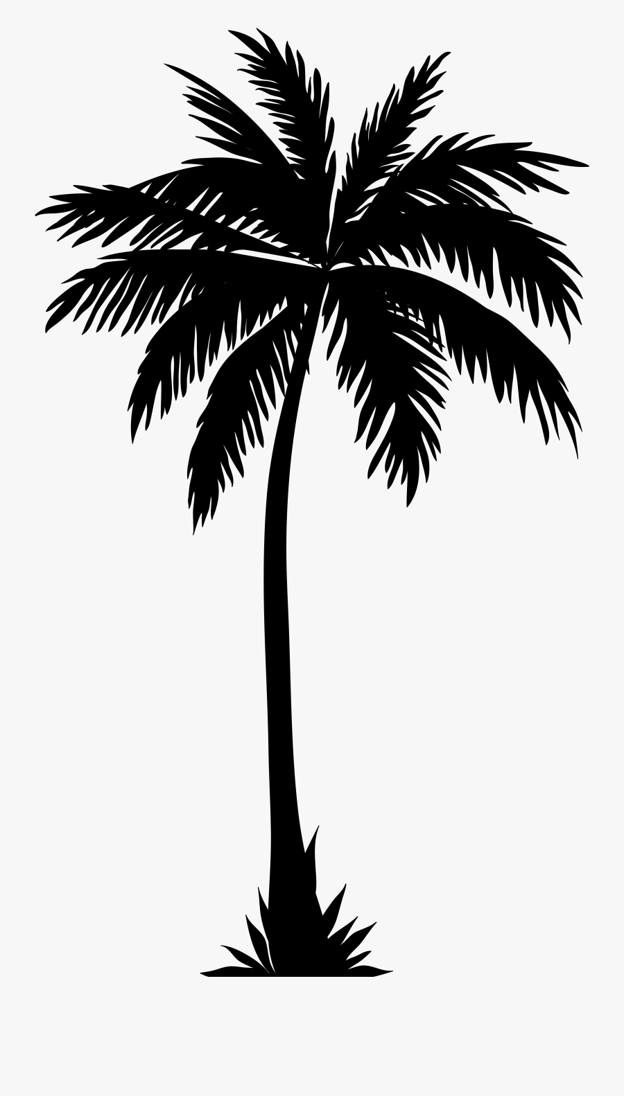 Pin By Torie Simmons - Transparent Background Palm Tree Silhouette, Transparent Clipart