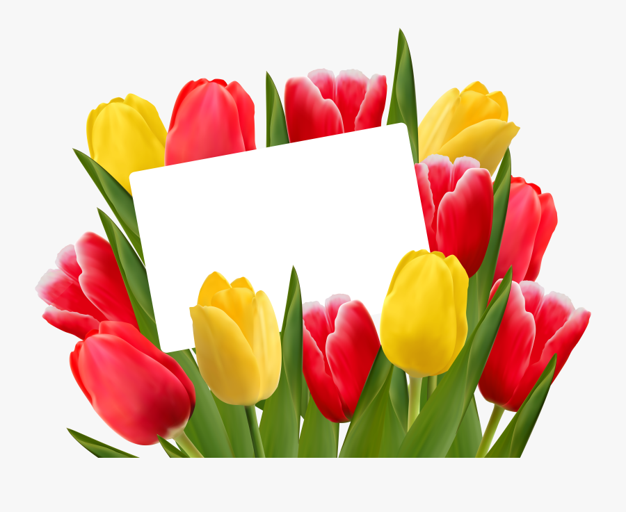 Spring Clipart Mason Jar - Boldog Nőnapot, Transparent Clipart
