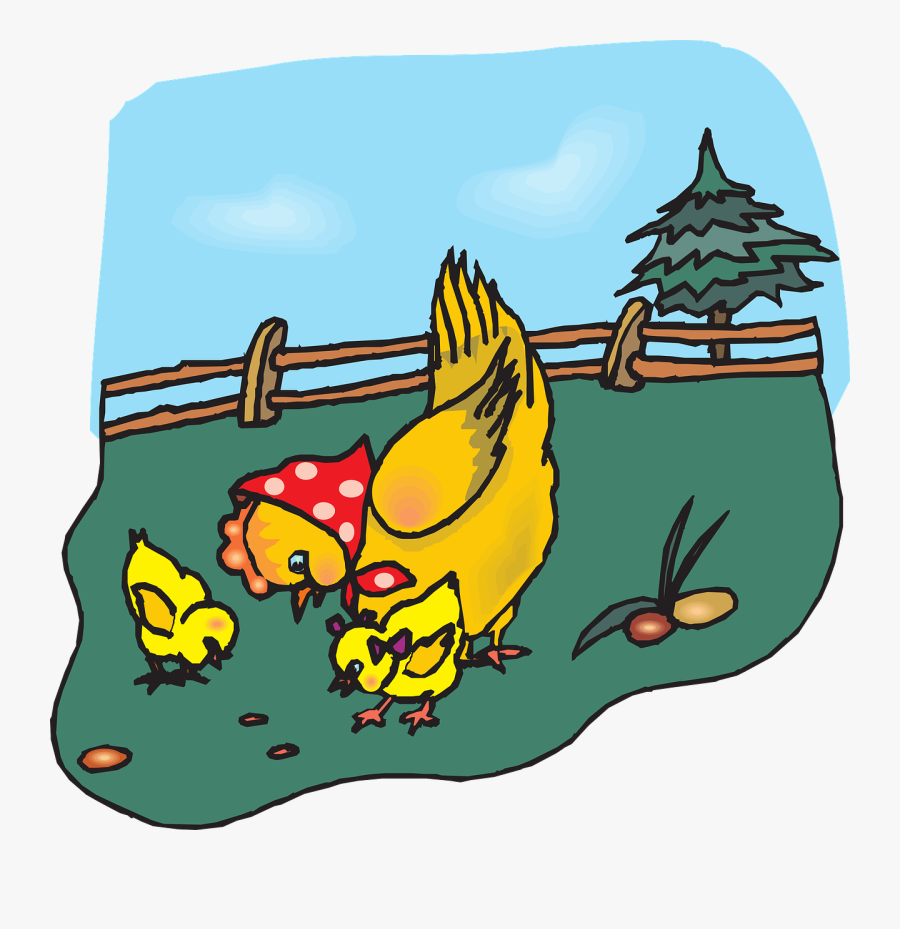 Chicken Clip Art, Transparent Clipart