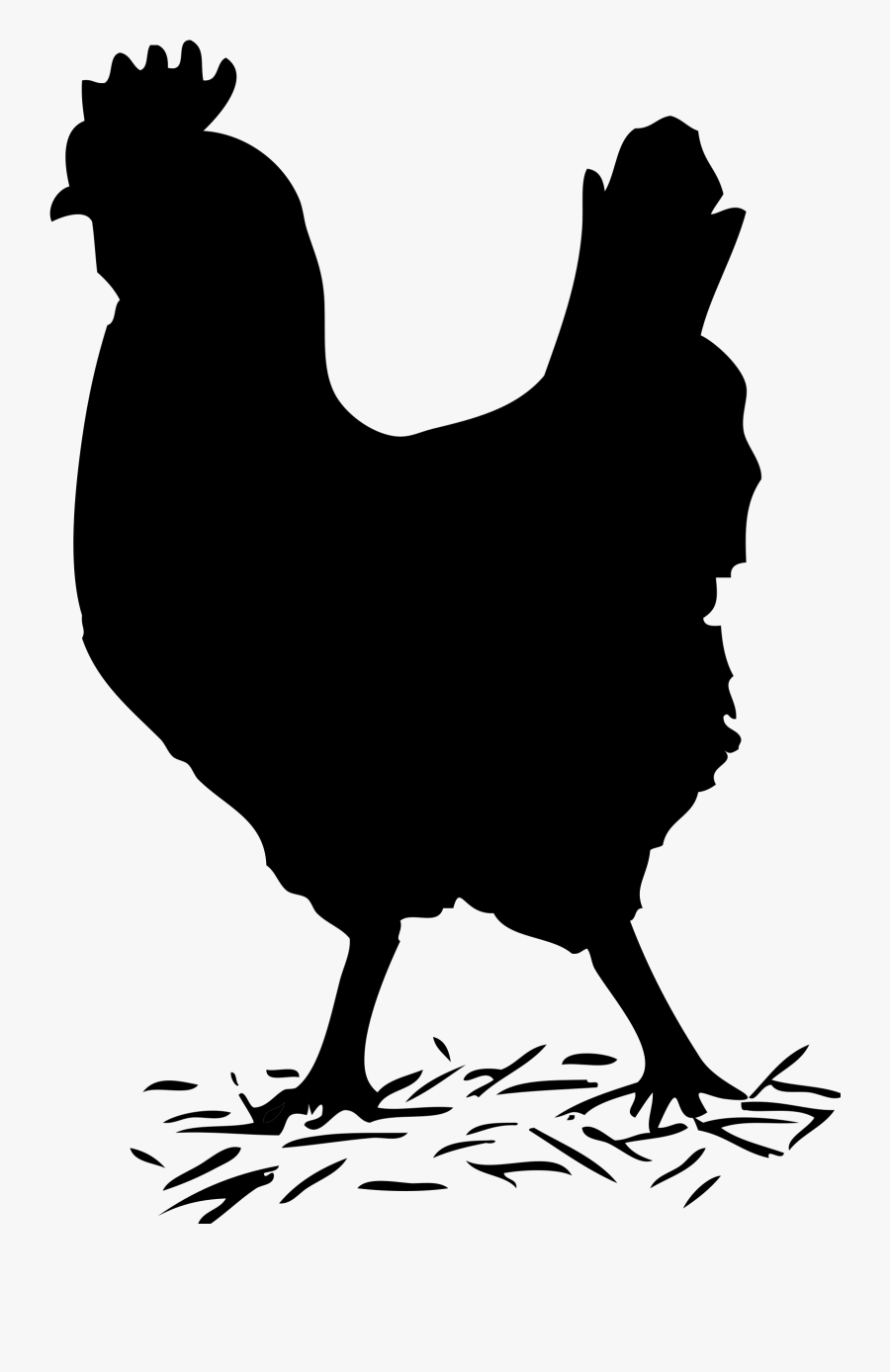 Black Solid Chicken - Hen Black And White, Transparent Clipart