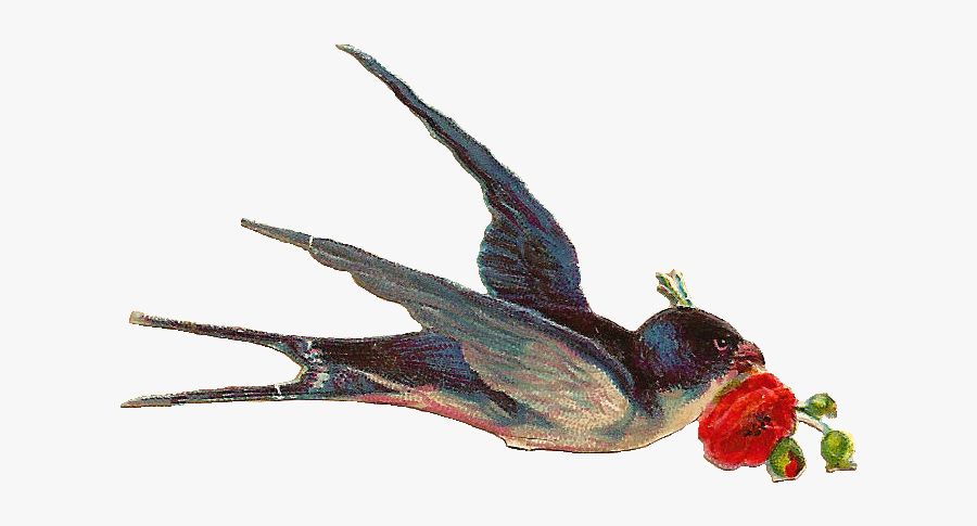 Bird Flying With Flower, Transparent Clipart