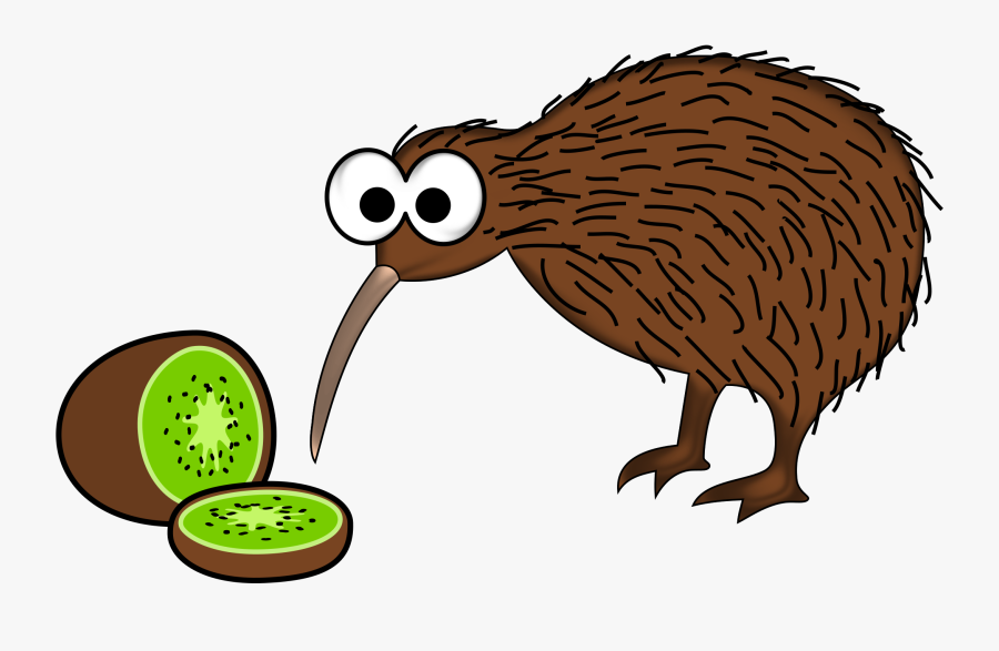 Kiwi Bird Png Clipart - Kiwi New Zealand Cartoon , Free Transparent