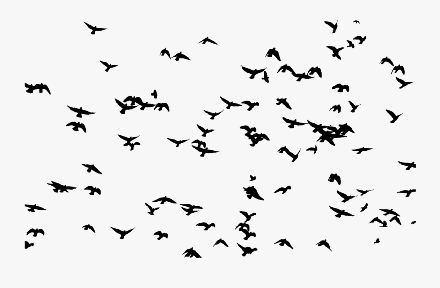 Large Flock Of Birds Silhouette - Flock Of Birds Silhouette Png, Transparent Clipart