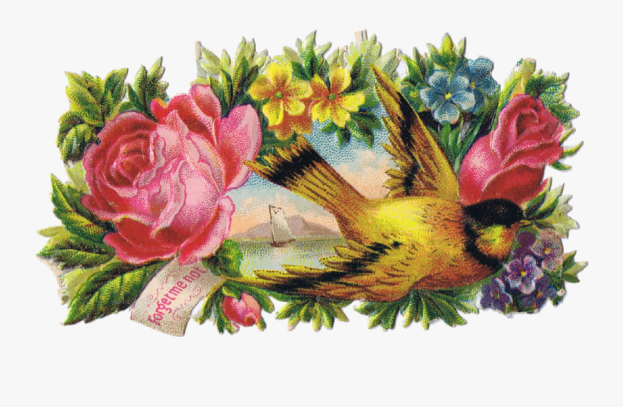 Bird Clip Art Antique Graphics From Http - Garden Roses, Transparent Clipart