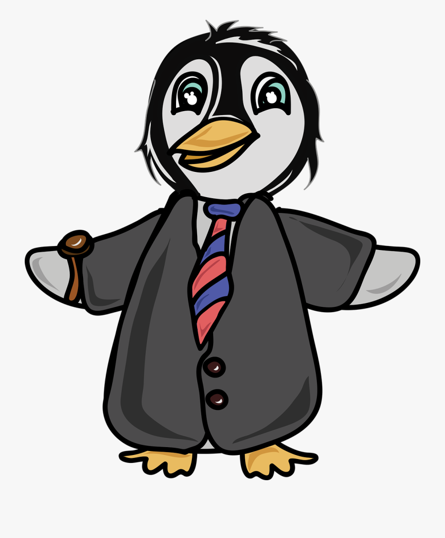 Flightless Bird,vertebrate,bird - Penguin, Transparent Clipart