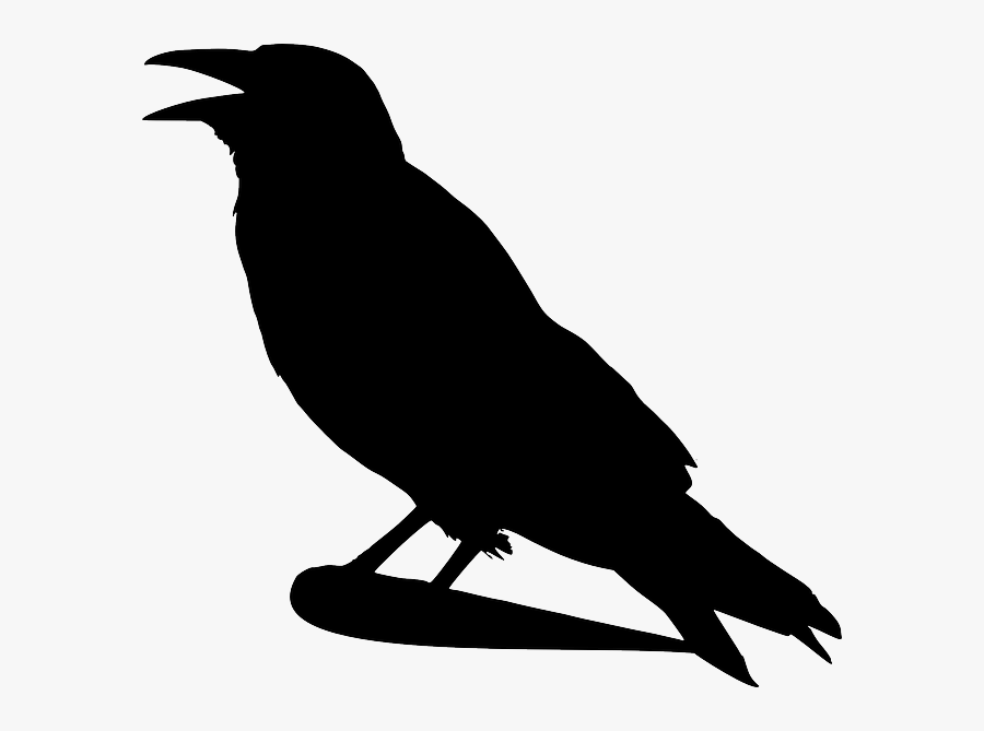 Crow Clipart, Transparent Clipart