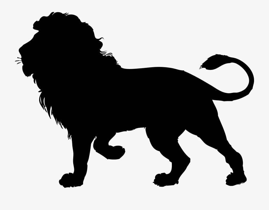 Lion Outline - Silhouette Lion, Transparent Clipart