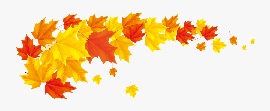 Leaf Color Clip Art - Transparent Fall Leaf Border, Transparent Clipart