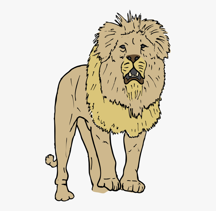 Lion Clip Art - Clipart Carnivore, Transparent Clipart
